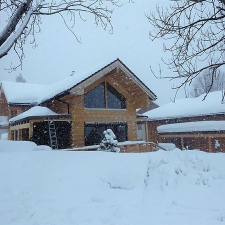 Villa Modern Chalet in Tauplitz with Sauna Exterior foto